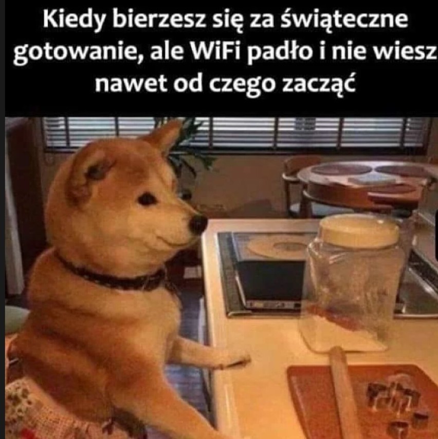 MEMY o przedświątecznej gorączce przygotowań! Z czego teraz śmieją się Internauci? Też tak macie? 