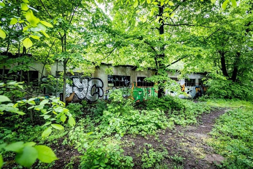 Na terenie przyszłego parku Grzegórzeckiego ruszą wyburzenia obiektów powojskowych