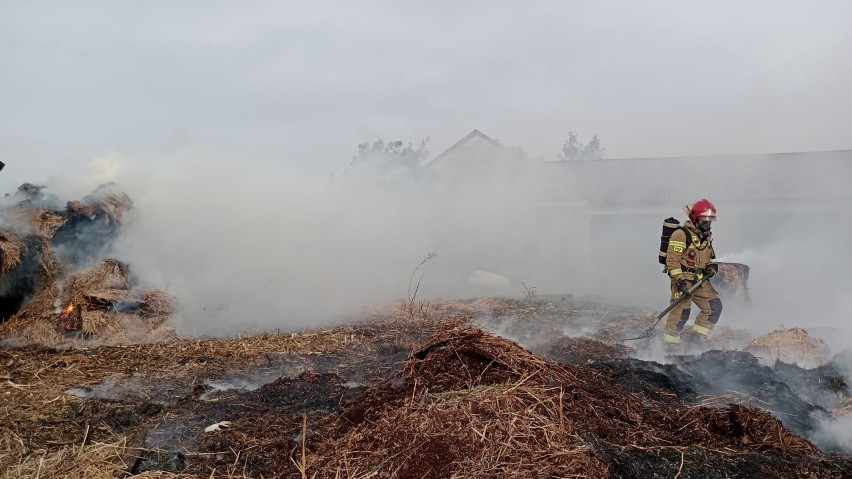 Pożar słomy w Łubnie. Z ogniem walczyło ponad 20 strażaków