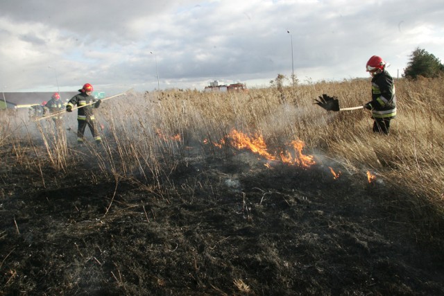 Ilość interwencji związanych z gaszeniem pożarów traw wzrasta wiosną