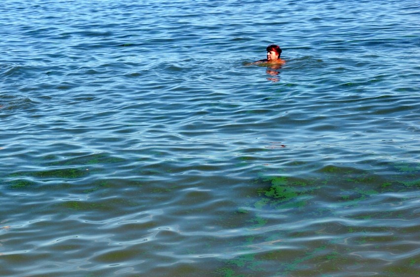 Zamknięte kąpielisko na Jeziorze Nyskim. Przy plaży w...