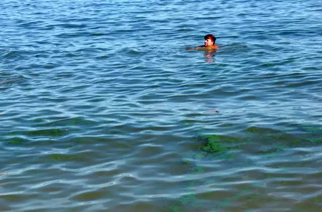 Zamknięte kąpielisko na Jeziorze Nyskim. Przy plaży w Skorochowie zakwitły sinice