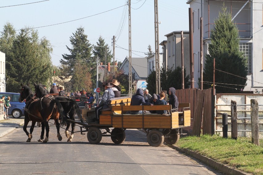 Święto koni i koniarzy obchodzono dziś w gospodarstwie agroturystycznym Mustang w Starym Widzimiu.