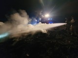 Łuna ognia nad jeziorem w Rgielsku. Strażacy wezwani do akcji 