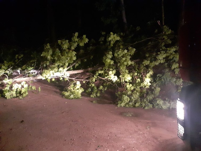 Strażacy ochotnicy zabezpieczali miejsca zdarzenia, cięli...