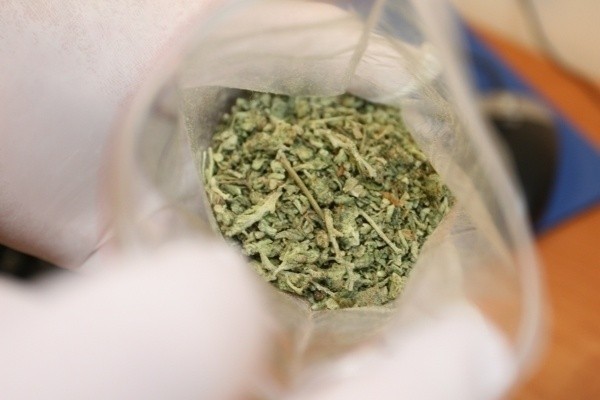 23-letni lublinianin hodował marihuanę w szafie