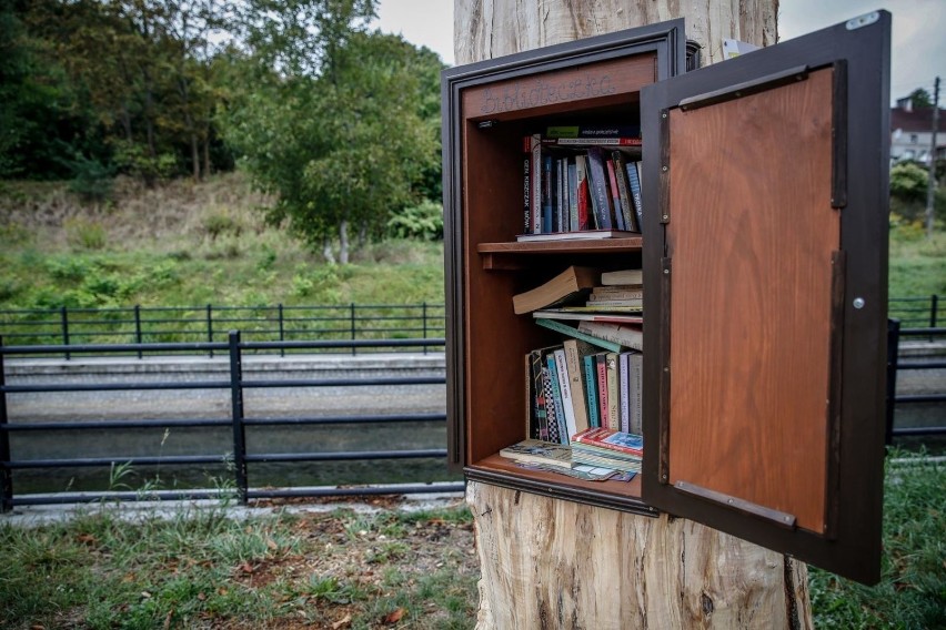 Biblioteka powstała w starym uschniętym kasztanowcu.