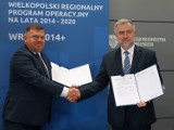 Wielkopolska Tarcza Antykryzysowa. Prawie 100 milionów złotych dla przedsiębiorców. Sprawdź jak otrzymać grant!