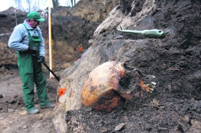 W Malborku odkopano ponad 2 tysiące ciał