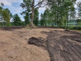 Prokuratura Rejonowa w Sejnach ustala, czy w Białogórach został zbeszczeszczony cmentarz staroobrzędowców