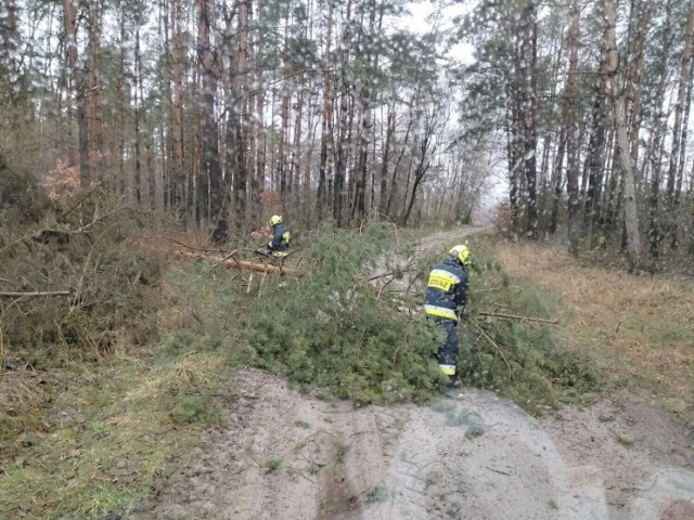 W zeszły weekend strażacy interweniowali wielokrotnie, m.in. przy powalonych drzewach i zerwanych dachach