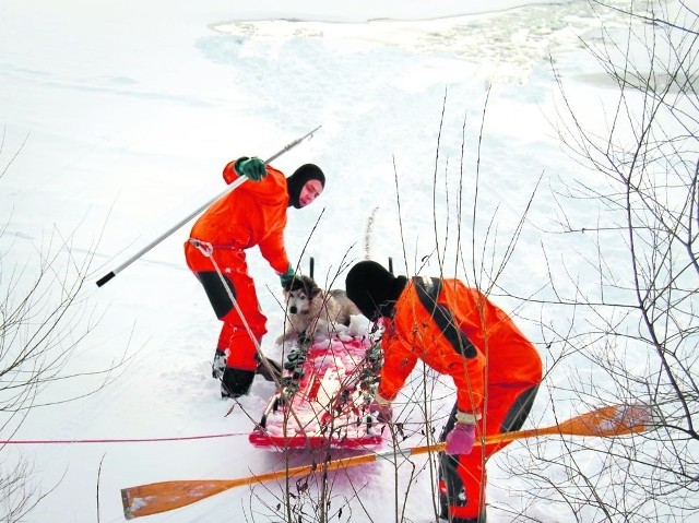 Kruchy lód mocno utrudniał akcję, jednak strażakom udało się wciągnąć psa na brzeg
