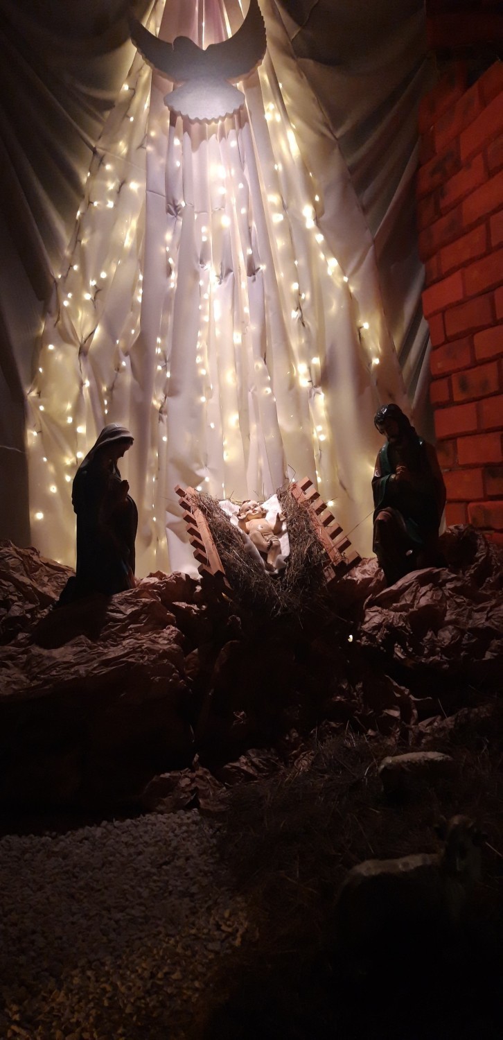 Bożonarodzeniowe szopki w kościołach w Tomaszowie Mazowieckim [ZDJĘCIA, FILM]