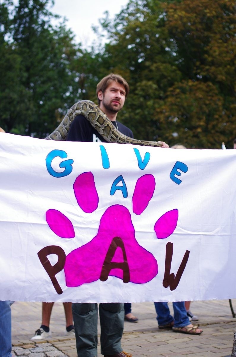Give a Paw: Happening dla zwierzaków na pl. Litewskim (ZDJĘCIA)