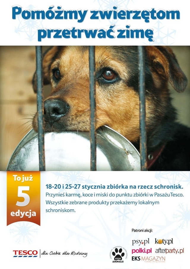 Akcja "Pomóżmy zwierzętom przetrwać zimę" trwa do końca stycznia