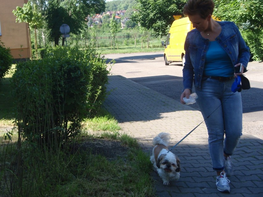 W mieście nie ma specjalnych koszy na psie odchody, ale to żadna wymówka dla ich właścicieli