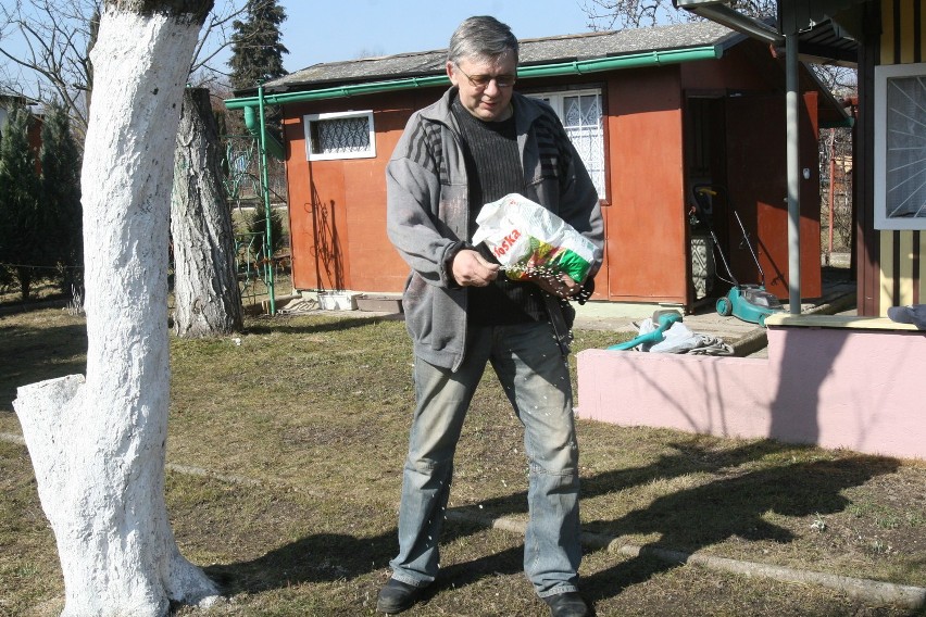 W raciborskich ogródkach praca wre!