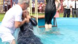 Kongres Jehowy w Szczecinie. Dziś zostali ochrzczeni nowi wierni [wideo]