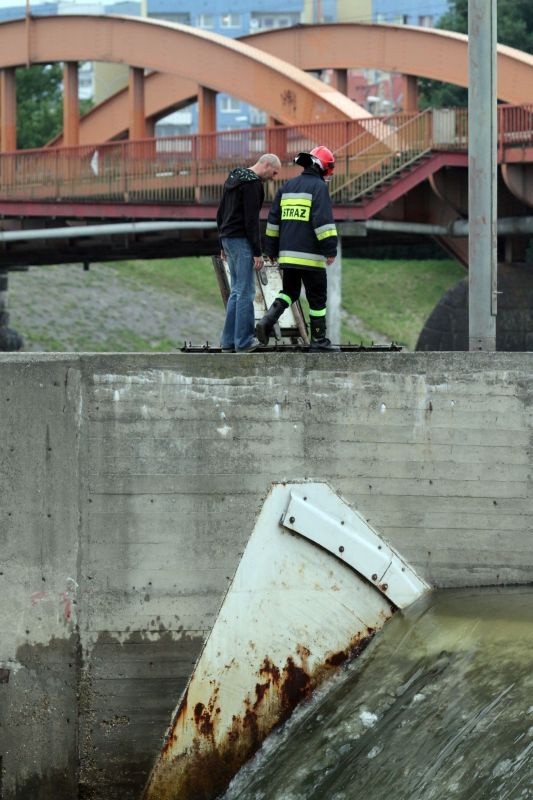 Wrocław: Zamknięto jaz Różanka, by wyłowić zwłoki psa (ZDJĘCIA)