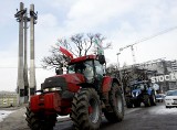 Protesty rolników na Pomorzu. Pikietują przeciwko wyprzedaży ziemi rolnej ZDJĘCIA