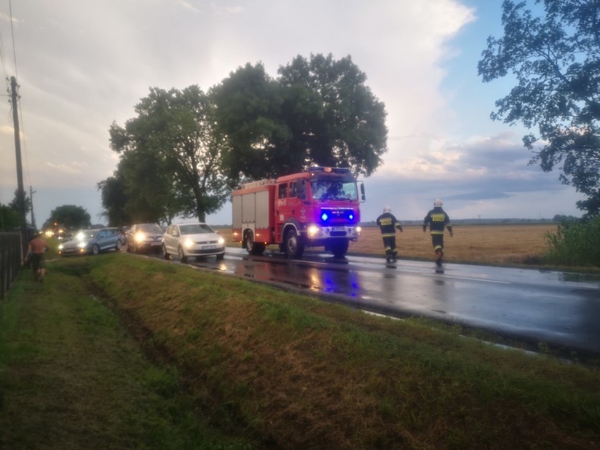 Silny wiatr i burze w gminie Szadek. Straż pożarna podsumowała  interwencje 