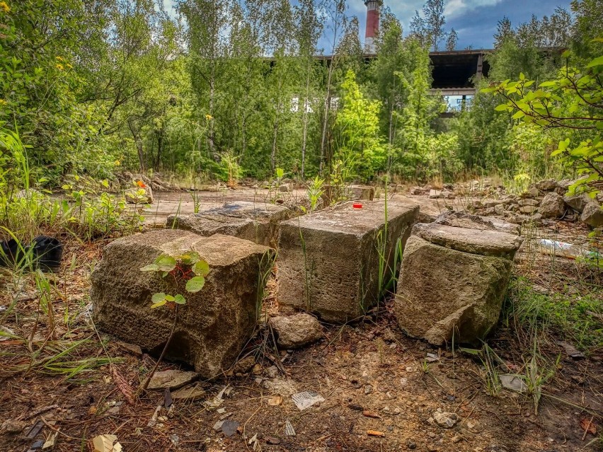 Wałbrzych: Groźne ruiny byłej fabryki domów na Piaskowej Górze. Omijajcie to miejsce (ZDJĘCIA)