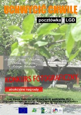 Konkurs fotograficzny dla mieszkańców powiatu lubartowskiego