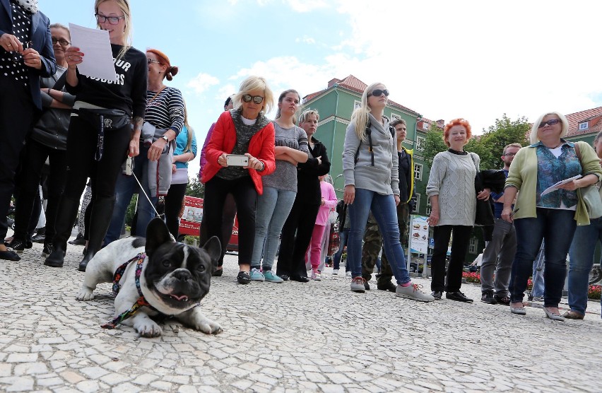 Protest przeciwko sytuacji w schronisku dla zwierząt w Szczecinie [wideo, zdjęcia]