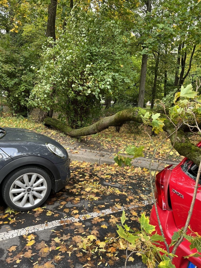 Sytuacja z ul. Akademickiej w Białymstoku