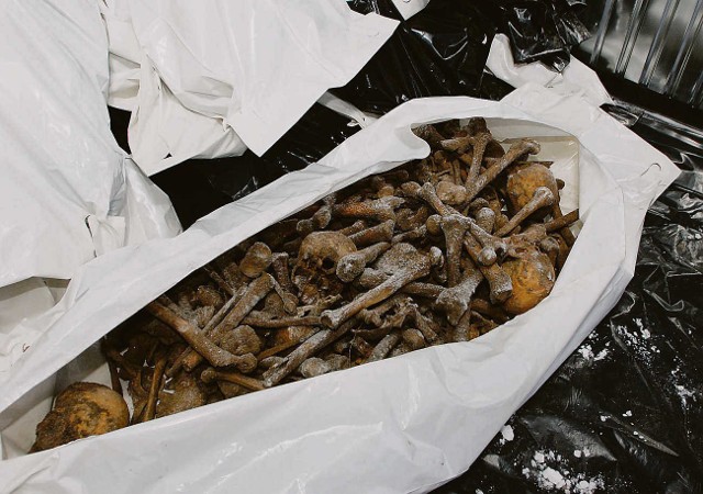 Te ludzkie szczątki wydobyto z grobu w Malborku. Podobny znajduje się w Bytowie