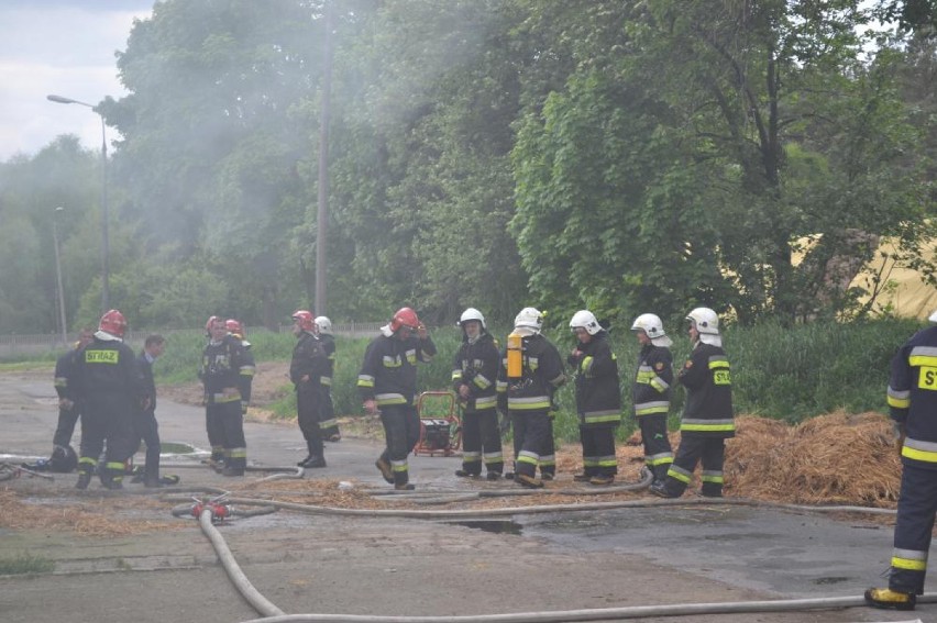 Pożar fermy w Szamocinie. Spłonęło 12 tysięcy piskląt...