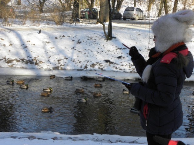 Zimowe ptakoliczenie uczniów z Lejkowa [ZDJĘCIA]