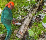 Burza nad Okuninką: Brak prądu i powalone drzewa