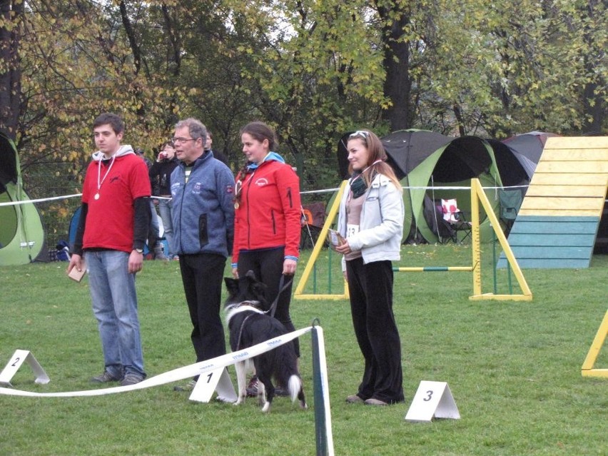 Finał Pucharu Polski w Agility na Stadionie Śląskim odbył się w sobotę i niedzielę