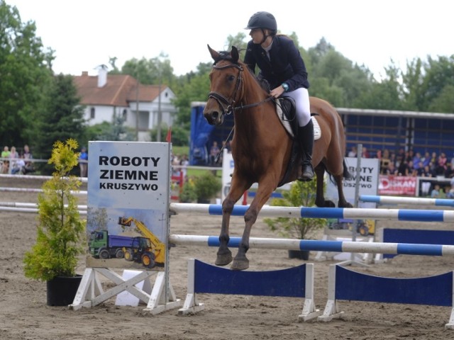 Zobacz także: Święto Toruńskiego Piernika 2017 [ZDJĘCIA]

Jeździeckie MP Amatorów w Kaszczorku [ZDJĘCIA]