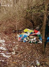 Wodzislaw Śląski: Dzikie wysypisko śmieci przy ulicy Bogumińskiej usunięte