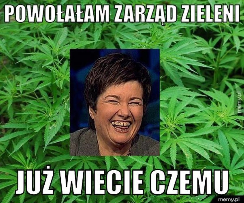 Hanna Gronkiewicz-Waltz i plantacja marihuany na działce...