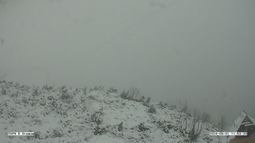 Pogoda zwariowała! Mamy koniec maja, a w Tatrach pada śnieg [ZDJĘCIA]
