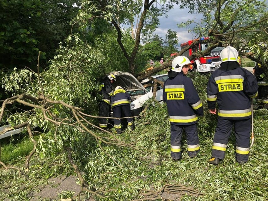 Drzewo spadło na samochód osobowy. Interweniowała straż pożarna [ZDJĘCIA]