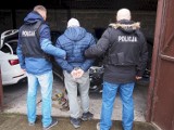 Policjanci znaleźli luksusowe samochody i części zamienne w złodziejskiej „dziupli” pod Warszawą. Zobacz wideo i zdjęcia