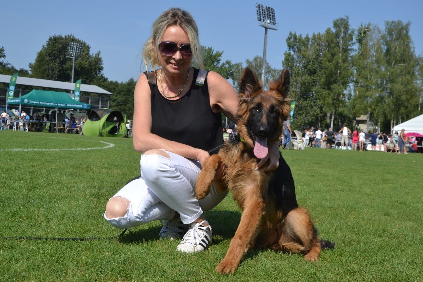 Tysiące psów na I Międzynarodowej Wystawie Psów Rasowych w Rybniku-Kamieniu