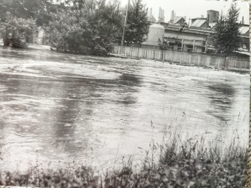 Powódź w Żaganiu w 1981 roku