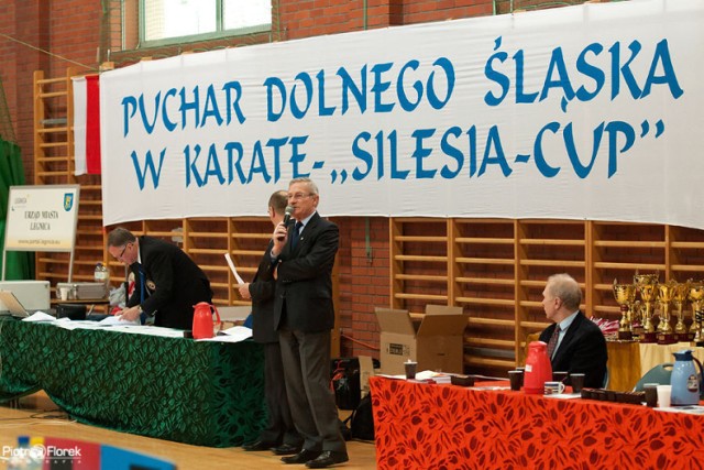 XXII Puchar Dolnego Śląska w Karate WKF ,,Silesia Cup 2013&rdquo;.   Fot. Piotr Florek