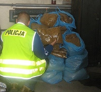 180 kg nielegalnego tytoniu w Wierzchowisku koło Częstochowy [ZDJĘCIA]
