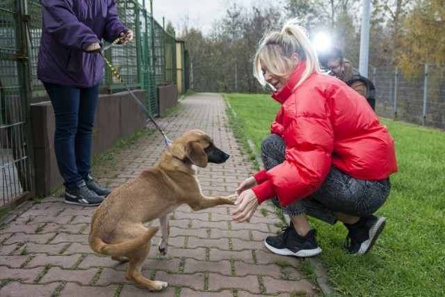 Wokalistka Kasia Moś zdecydowała się na adopcję jednego z bezdomnych czworonogów.