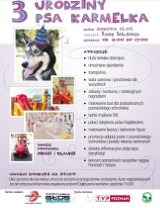 Poznań: 3. Urodziny psa Karmelka - wielka impreza schroniska dla zwierząt w Parku Wilsona