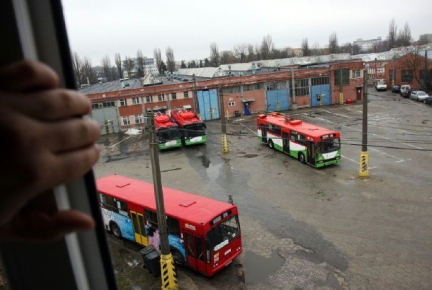 Po Łodzi miałoby kursować 10 trolejbusów, a koszt zbudowania...