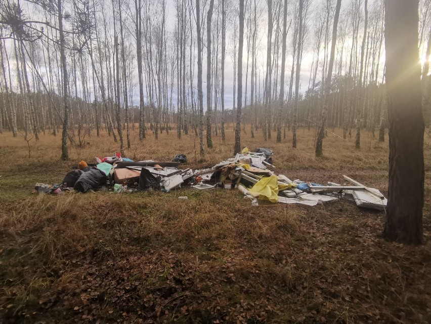 Ktoś wyrzucił w okolicy Osiedla Słowiańskiego w...