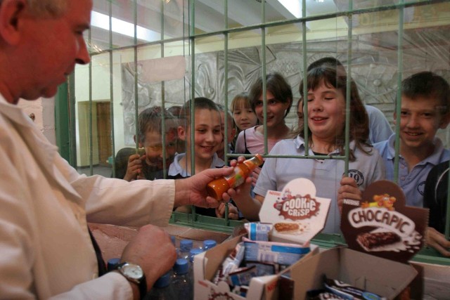 Szkoły starają się propagować  zasady zdrowego żywienia wśród uczniów