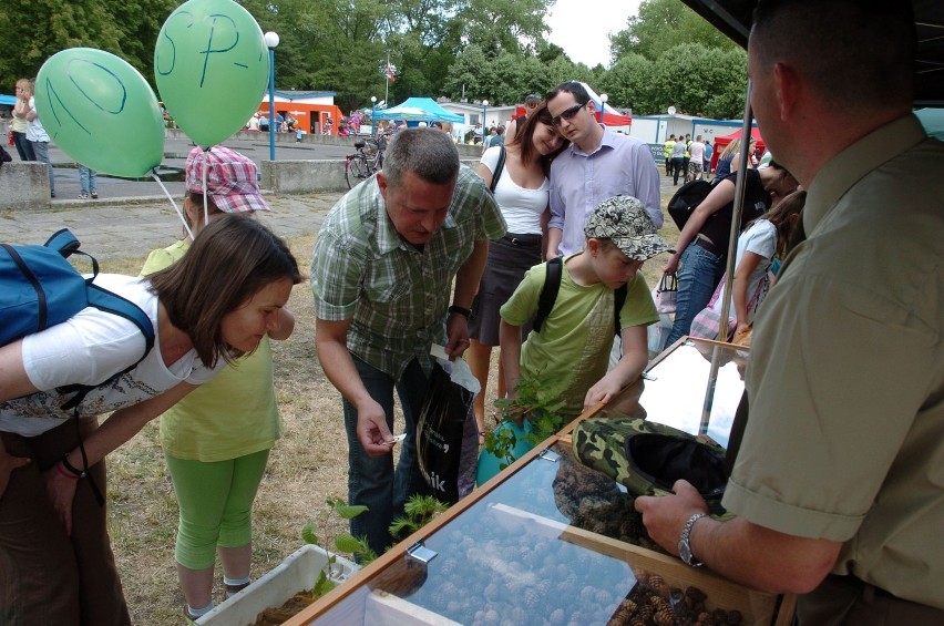 Park kultury w Słupsku: Zobacz relację z pikniku ekologicznego [ZDJĘCIA]